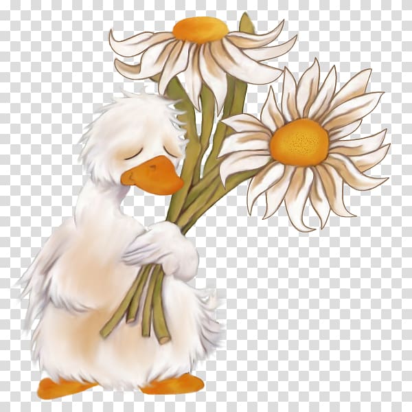 Prayer Get Well Thought Wish, daisy transparent background PNG clipart