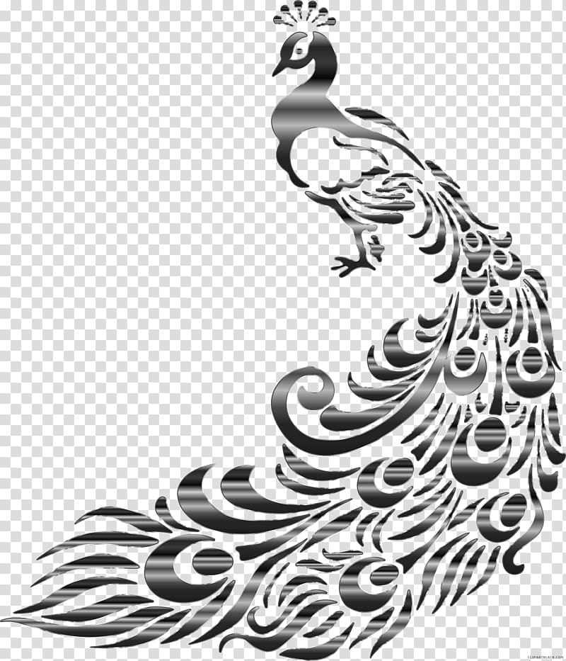 Drawing Asiatic peafowl Graphics, design transparent background PNG clipart