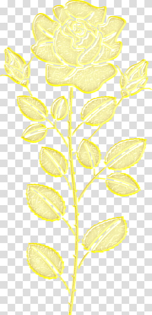 Petal Leaf Plant stem Angle Font, Leaf transparent background PNG clipart thumbnail