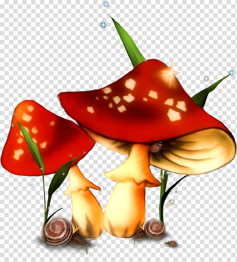 Mushroom Fungus Animation , champignon transparent background PNG clipart