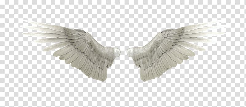 two white wings illustration, Angel Heaven, angel wings transparent background PNG clipart