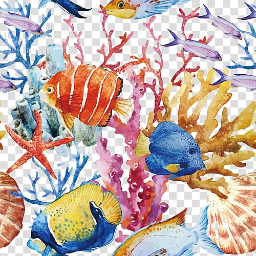 assorted fish , Coral reef fish , Tropical Fish transparent background PNG clipart