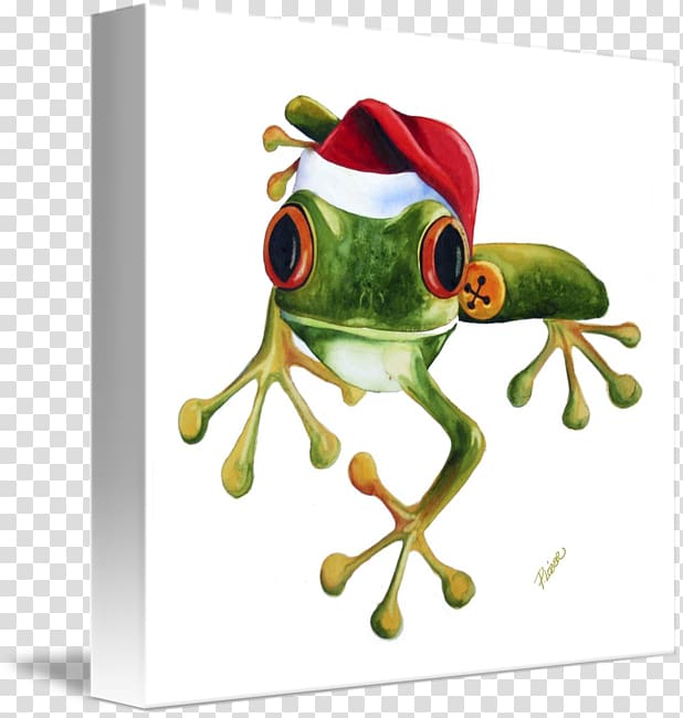 The Tree Frog Toad Amphibian, frog transparent background PNG clipart