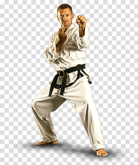 Mixed martial arts Karate Taekwondo Brazilian jiu-jitsu, mixed martial arts transparent background PNG clipart