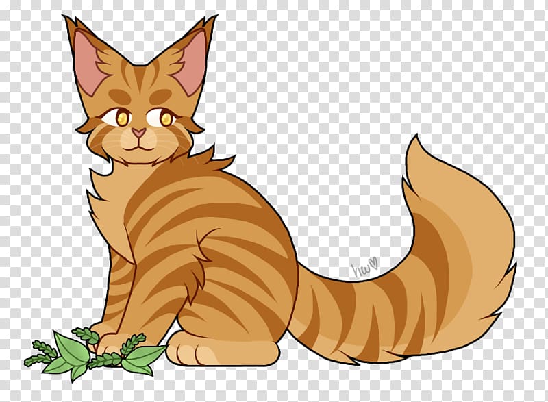 Tabby cat Warriors Kitten Leafpool, coon transparent background PNG clipart