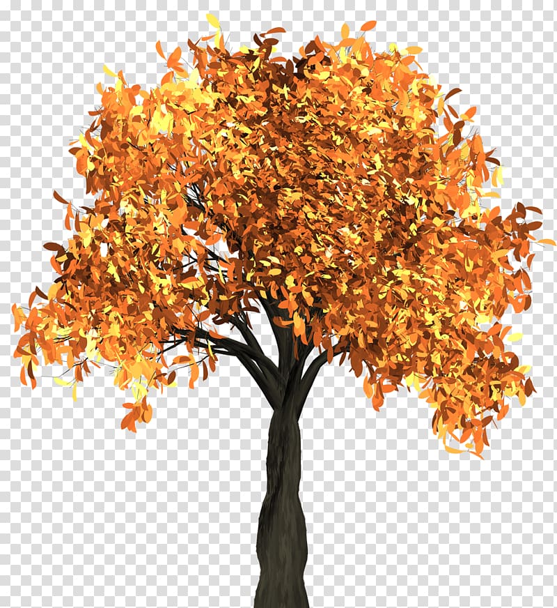 orange tree, Autumn leaf color Tree, Autumn Tree transparent background PNG clipart