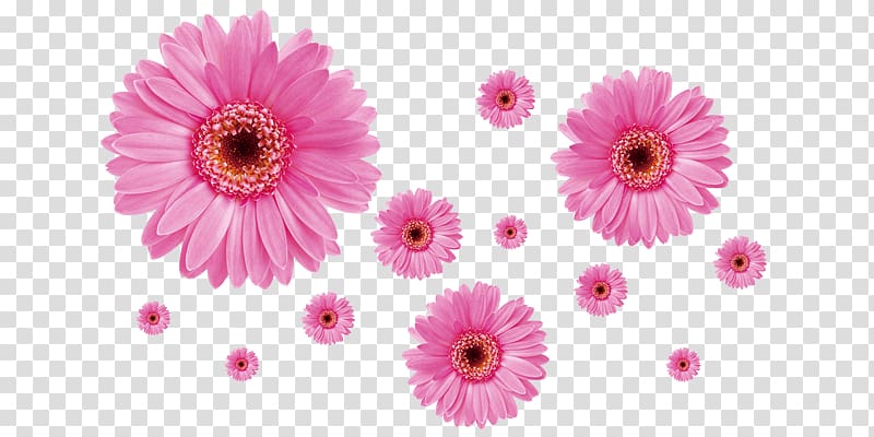 Wall decal Paper Sticker Room, daisies watercolor transparent background PNG clipart