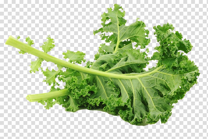 green leaf, Lacinato kale Leaf vegetable Salad Brussels sprout, Kale creative transparent background PNG clipart