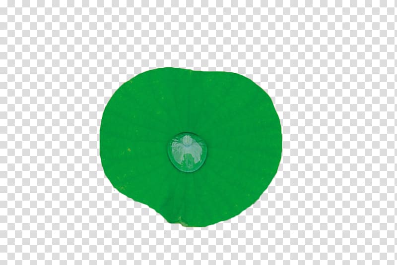 Green Leaf Circle, Green deer on the lotus leaf transparent background PNG clipart