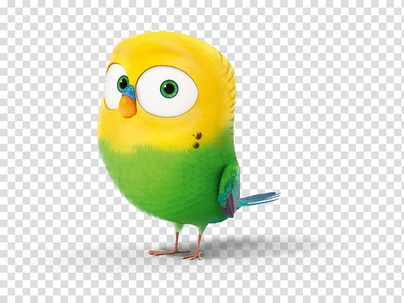 Budgerigar Pet Cat Dog Drawing, Cat transparent background PNG clipart