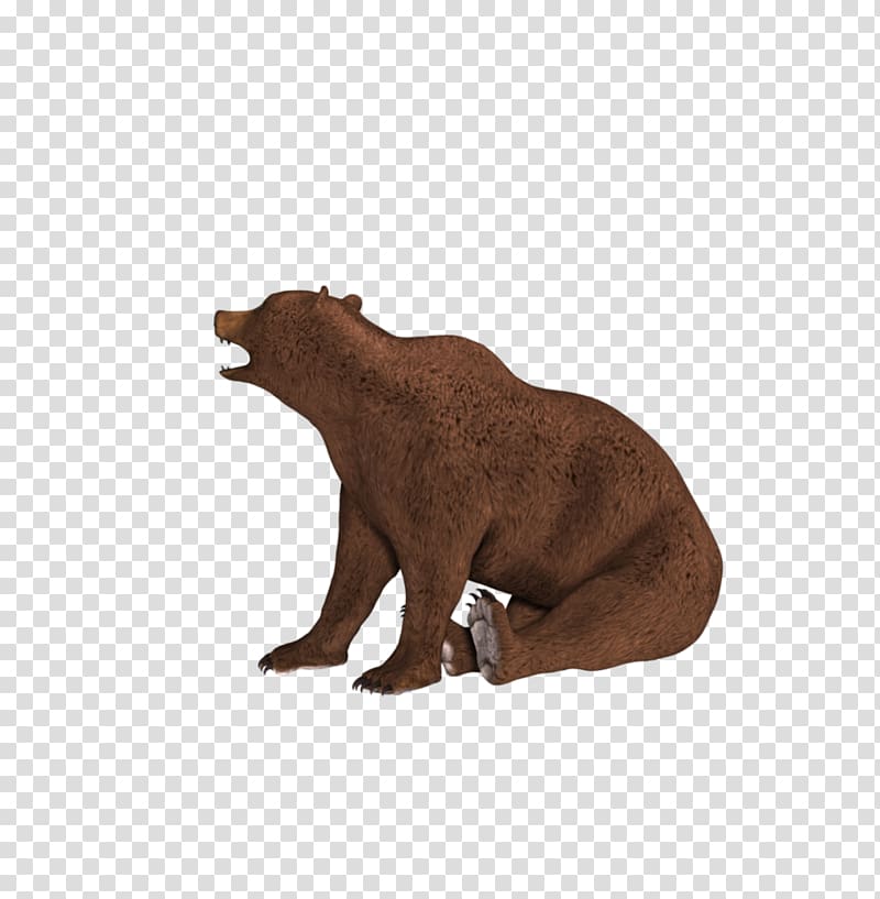 Grizzly bear Digital art Poser DAZ Studio, bear cub transparent background PNG clipart
