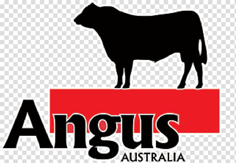 Angus cattle Red Angus Brangus Bald Blair Angus Triple A Angus, bull transparent background PNG clipart