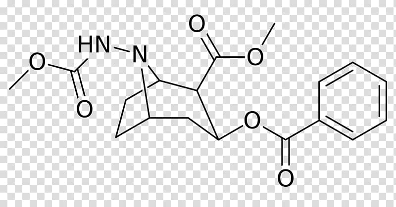 Free base Chemical compound Chemical substance Derivative, cocain transparent background PNG clipart