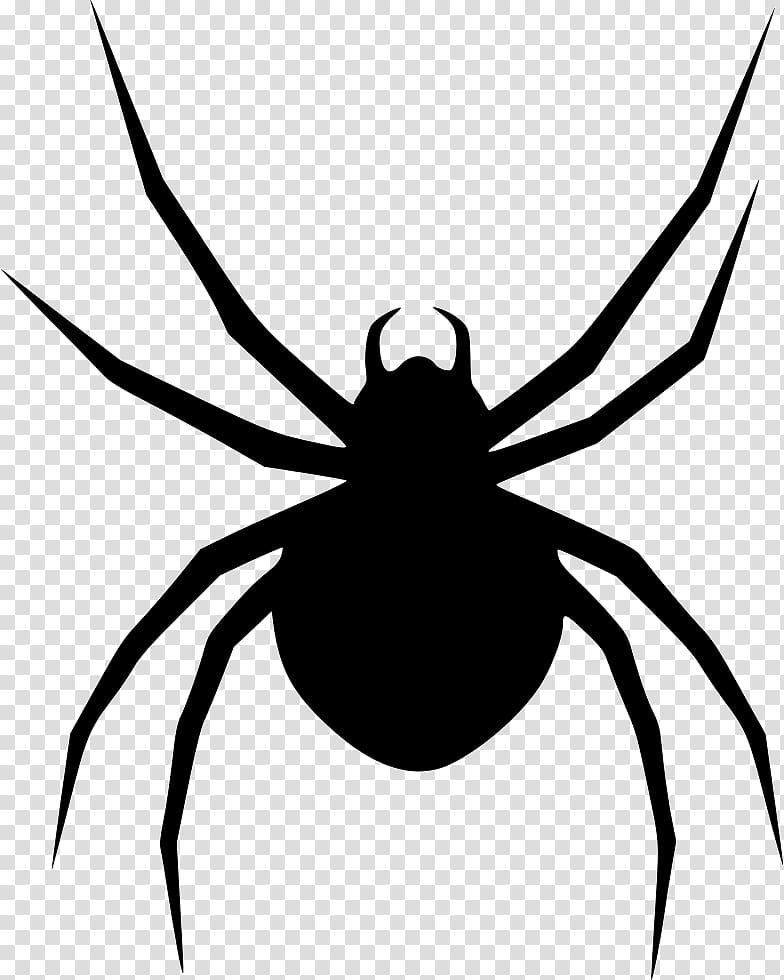Armed spiders Southern black widow Latrodectus hesperus, spider transparent background PNG clipart