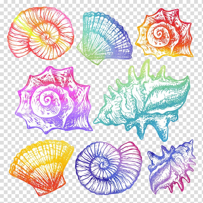 assorted seashells illustration, Watercolor painting Cartoon Seashell Illustration, conch transparent background PNG clipart