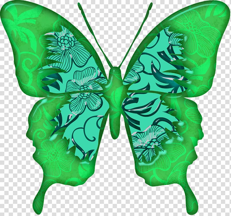 Nymphalidae Butterfly , butterflies transparent background PNG clipart
