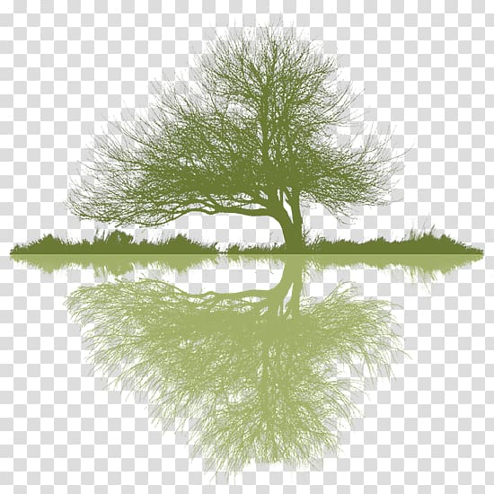 Arborist Tree planting Logo Arboriculture, boughs transparent background PNG clipart