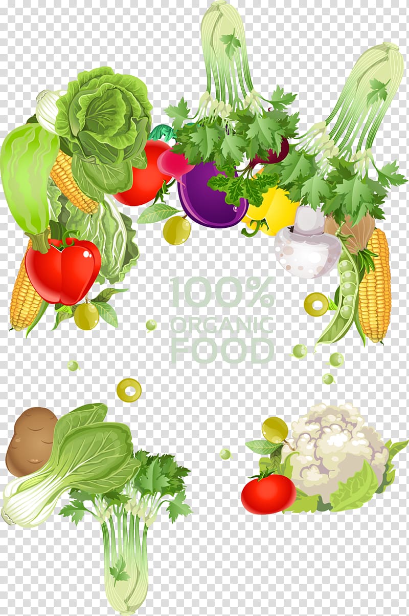 100& organic food , Vegetarian cuisine Vegetable Fruit Illustration, Vegetables Border transparent background PNG clipart