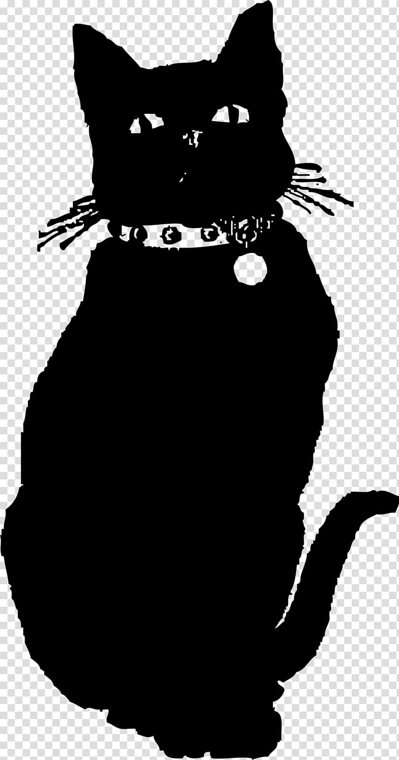 The Black Cat Kitten , black cat transparent background PNG clipart