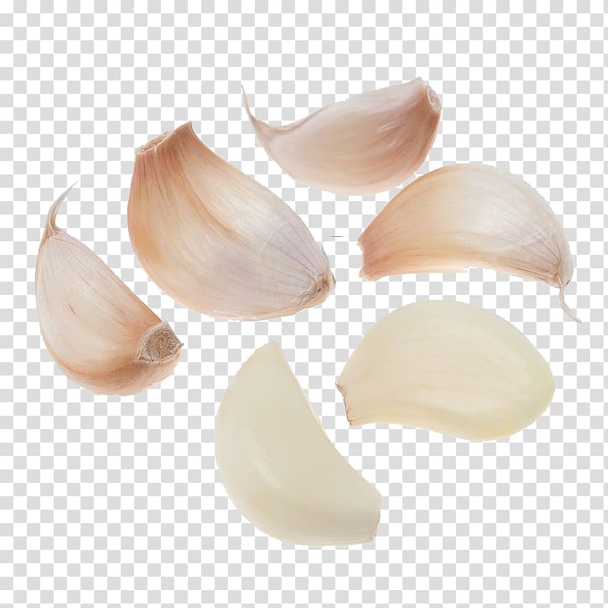 Solo garlic Oil of clove Mincing Food, minced Garlic transparent background PNG clipart
