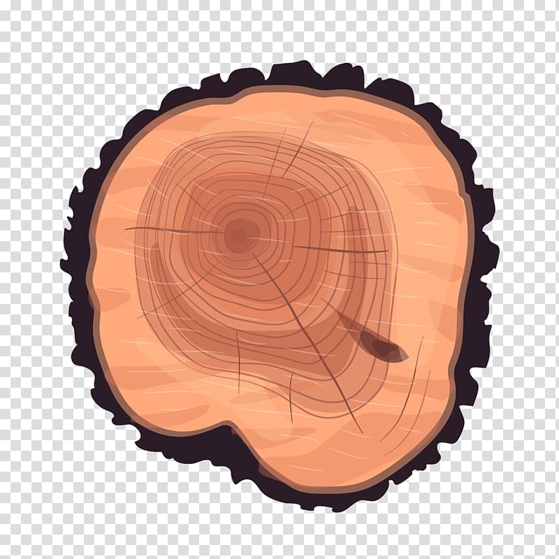 brown and black wood log icon, Tree stump Trunk Wood, Eucalyptus tree trunk wheel transparent background PNG clipart