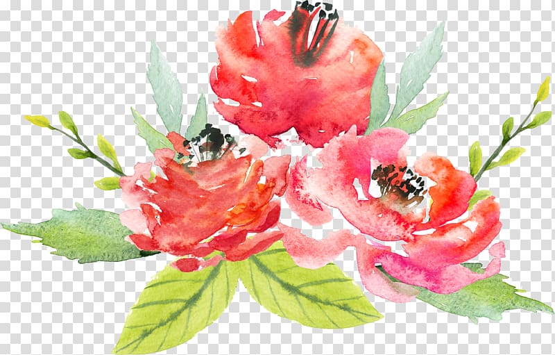 three red flowers digital illustration, Floral design Flower Watercolor painting, Watercolor flowers transparent background PNG clipart