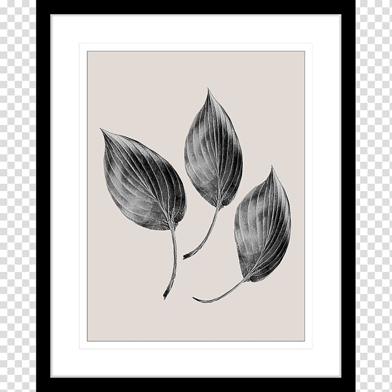 Drawing Petal Visual arts, leaf watercolor painting transparent background PNG clipart Drawing Petal Visual arts, leaf watercolor painting transparent background PNG clipart