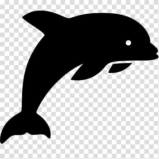 Computer Icons Dolphin , jumping dolphins transparent background PNG clipart