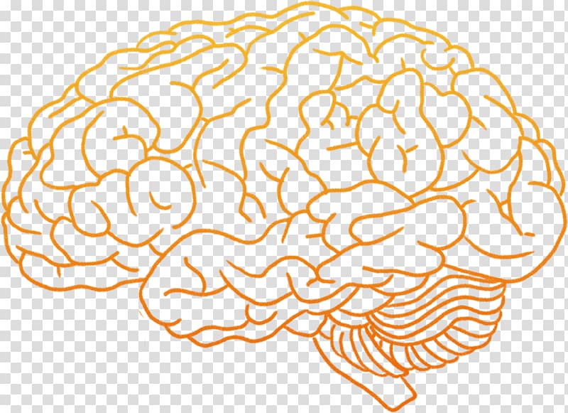 Human brain , Brain Gear transparent background PNG clipart