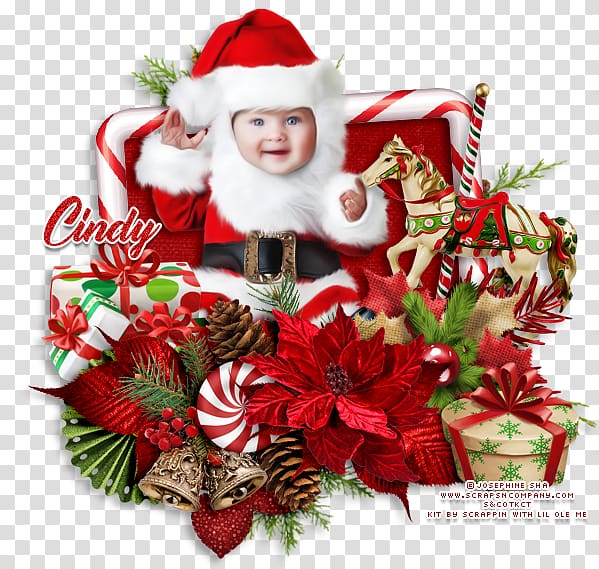 Santa Claus Christmas ornament Costume Carnival, santa claus transparent background PNG clipart