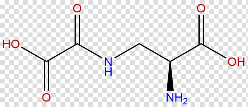 gamma-L-Glutamyl-L-cysteine Glutamic acid Glutathione Amino acid, Monosodium glutamate transparent background PNG clipart