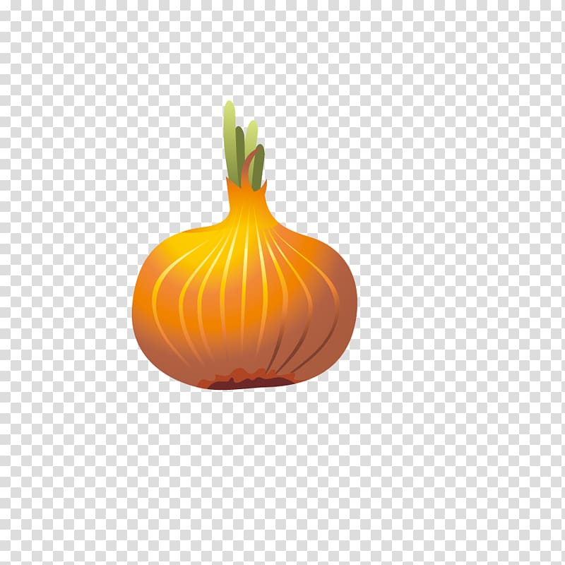 Calabaza Onion Cartoon, Cartoon onion transparent background PNG clipart