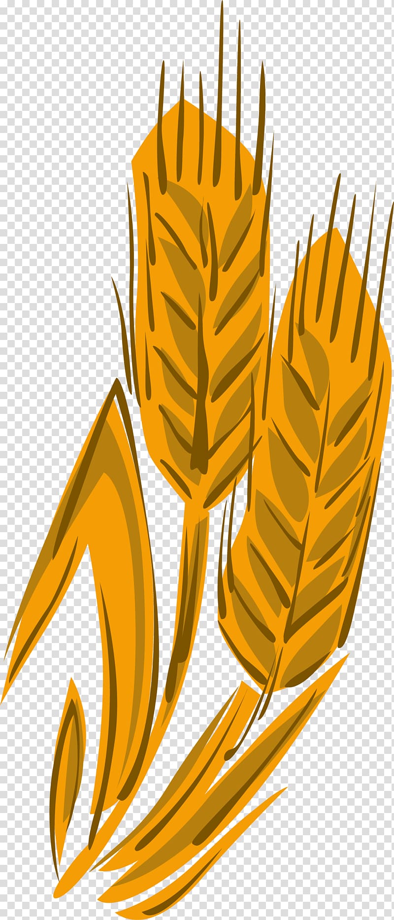 Wheat , wheat transparent background PNG clipart