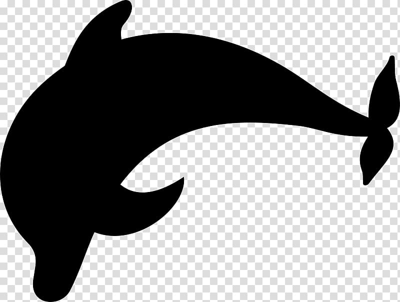 Dolphin , dolphin transparent background PNG clipart