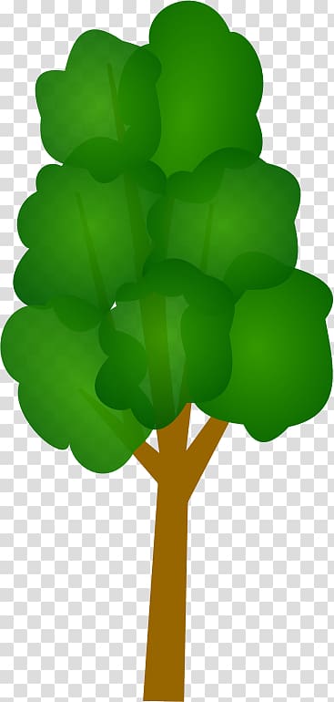 Tree , pohon transparent background PNG clipart