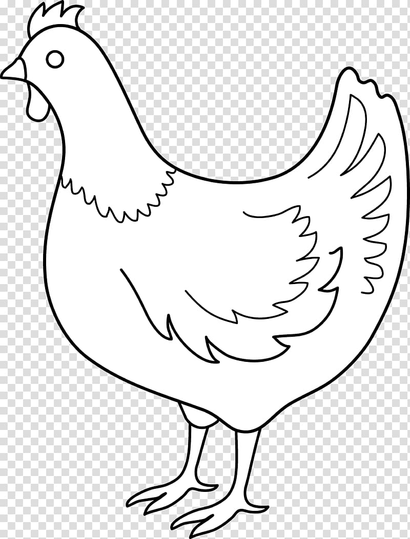 Chicken Drawing , chick transparent background PNG clipart