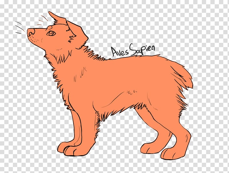 Dog breed Finnish Spitz Puppy Red fox Whiskers, puppy transparent background PNG clipart