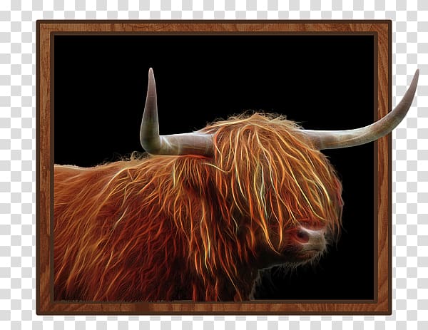 Texas Longhorn Highland cattle English Longhorn Ox Bull, Scottish Highlands transparent background PNG clipart