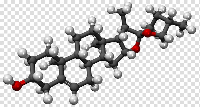 Molecule Diosgenin Chemistry Ball-and-stick model Science, molecule transparent background PNG clipart