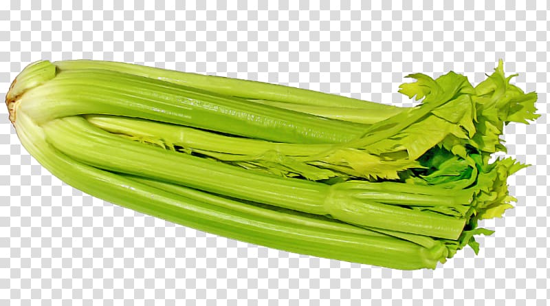 Celery Smoothie Juice Food Health shake, celery transparent background PNG clipart
