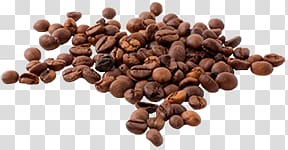 Coffee beans transparent background PNG clipart