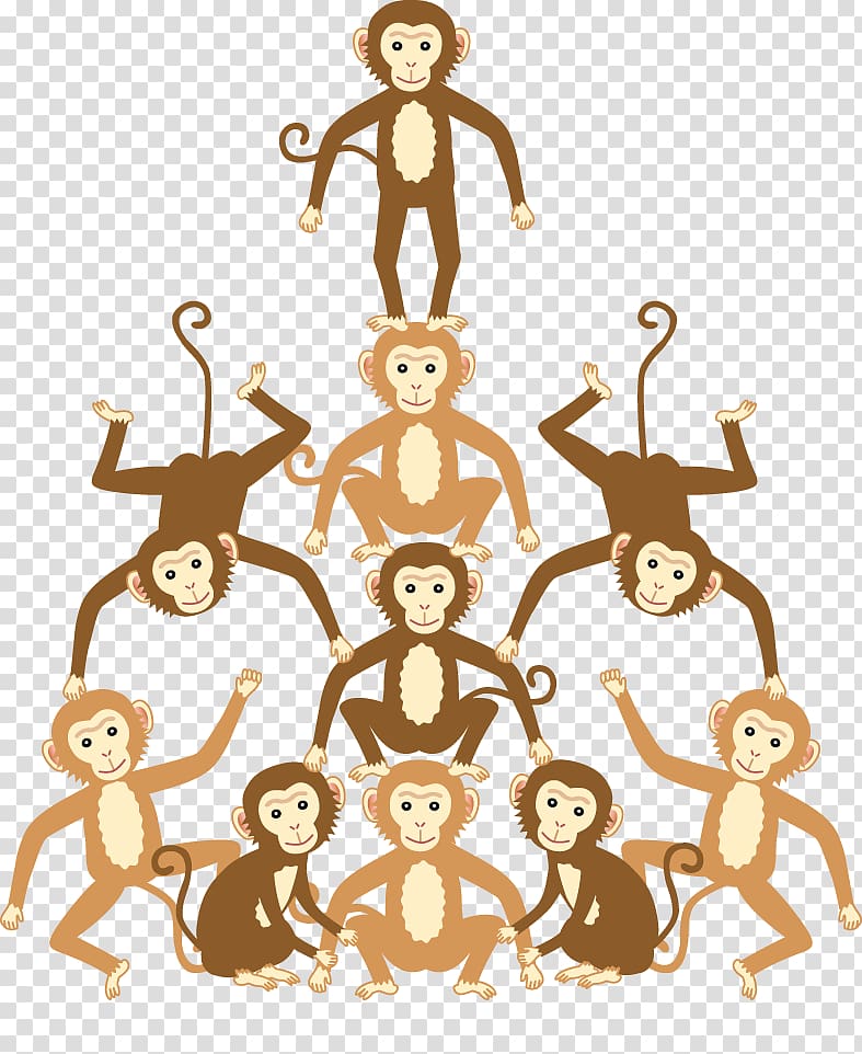 Homo sapiens Human behavior , monkey transparent background PNG clipart