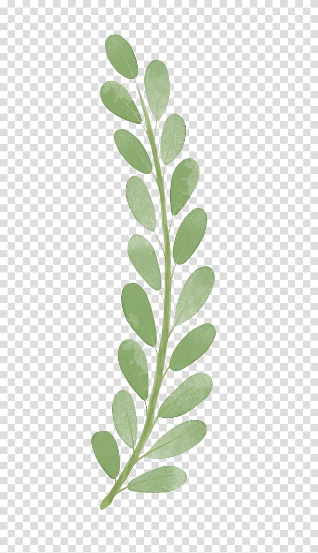 green leafed , Branch , Watercolor leaves transparent background PNG clipart