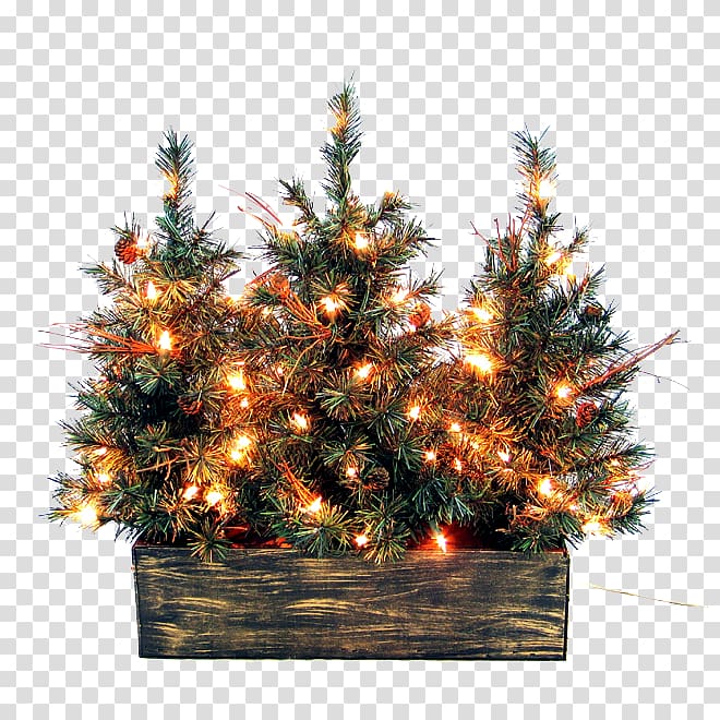Christmas tree Christmas decoration Christmas ornament, Christmas Outside transparent background PNG clipart