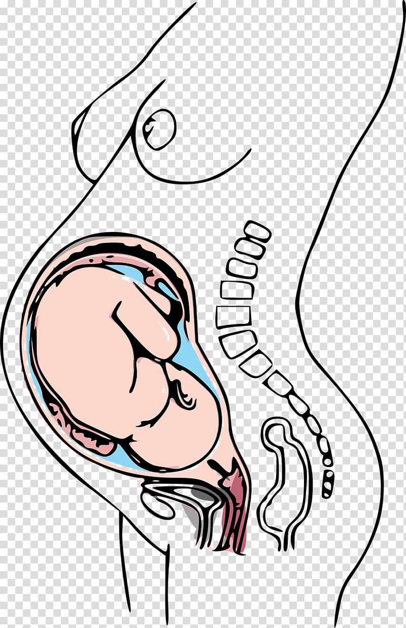 Pregnancy Caesarean section Prenatal care Morning sickness Woman, pregnant transparent background PNG clipart
