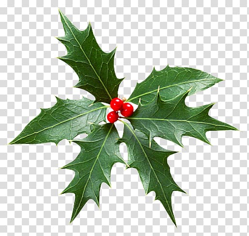 Christmas Advent Calendars Advent wreath Alchemy, christmas transparent background PNG clipart
