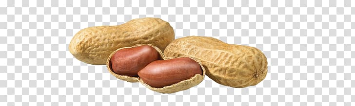 Peanut transparent background PNG clipart