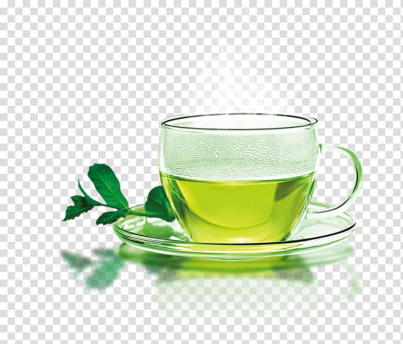 green tea on glass cup, Green tea Coffee Longjing tea Teacup, A cup of hot green tea transparent background PNG clipart