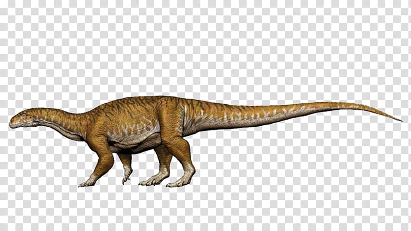 Dinosaur Sauropodomorpha Apatosaurus Ingentia Diplodocus, dinosaur transparent background PNG clipart