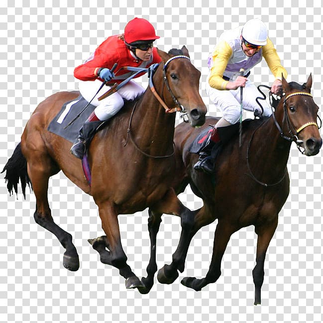 man riding horse, Thoroughbred The Kentucky Derby Epsom Derby Horse racing Equestrian, Bet transparent background PNG clipart